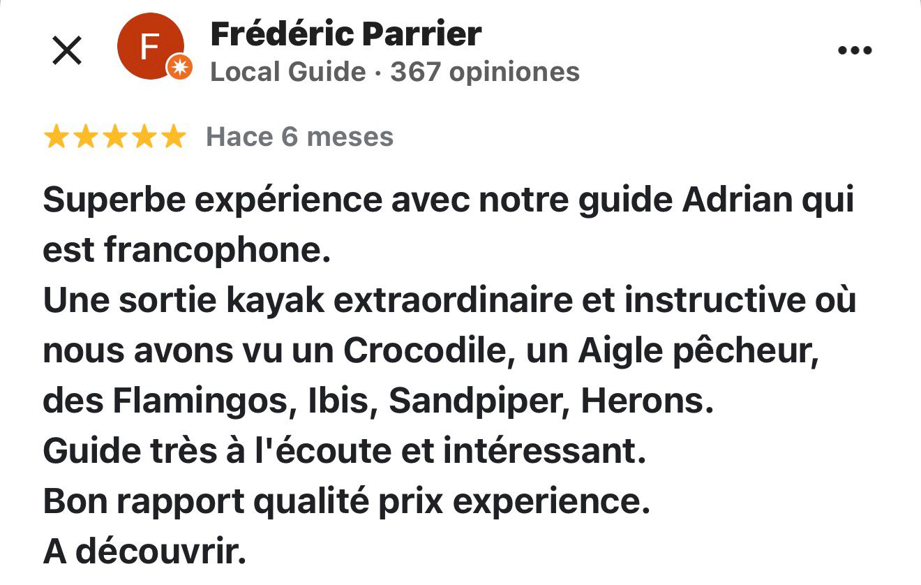 Review 1