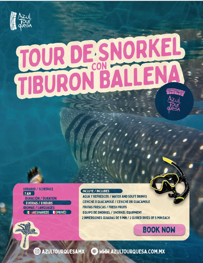 Tiburón Ballena